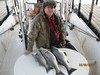 (03/08/2017) - Nice Striped Bass
